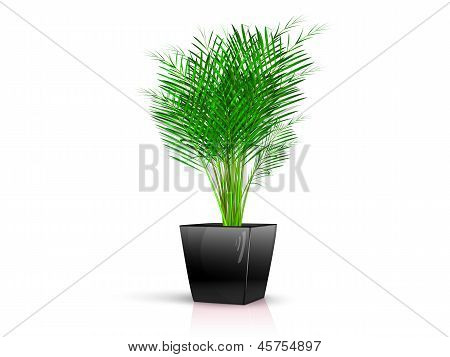 Svart vas med blomma 3