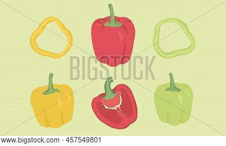 Bell Pepper Vector Illustration Red, Yellow And Green Set