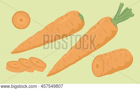 Carrot Full And Sliced Vector Illustration Of Vegetables On Green Background