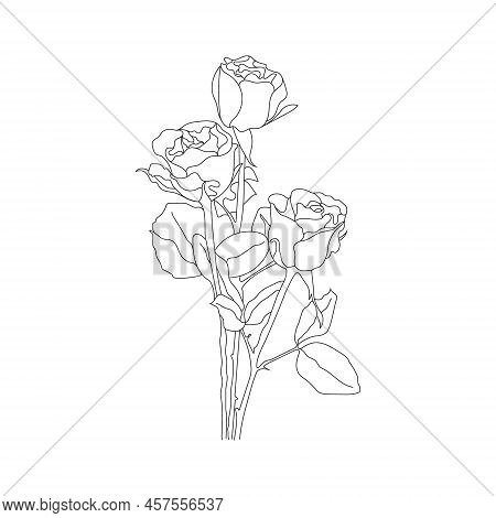 Beautiful Flower On White Background. Black Line Art Rose.  Rose Hand Drawn Flower