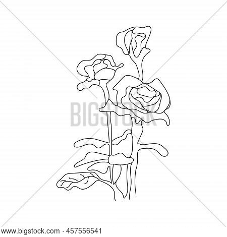 Black Line Art Rose.  Rose Hand Drawn Flower. Hand Drawn Rose Flower