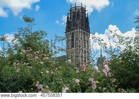 St. Salvator Church Duisburg Behind A Rose Hedge, The Gothic Basilica Is Today A Protestant City Chu