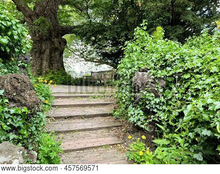View Of Pathway Going Through Park With Beautiful Green Plants