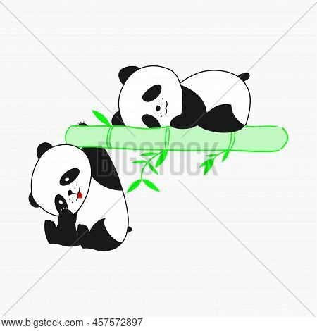 Color Image Of Two Funny Pandas On A Bamboo Branch