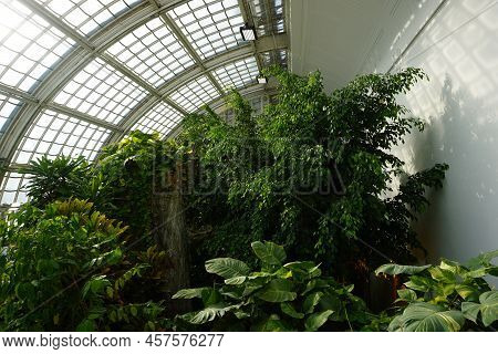 Inside The Imperial Butterfly House In Vienna