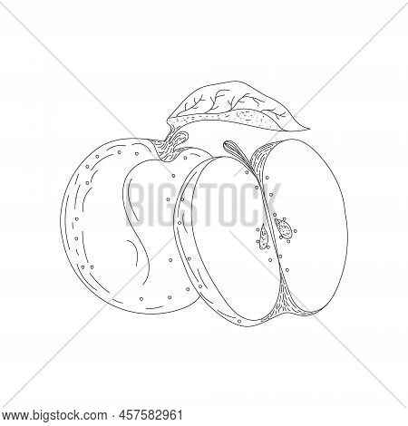Black Art Hand Drew Apple Beautiful Whole Fruit With Leaf And Cut Half