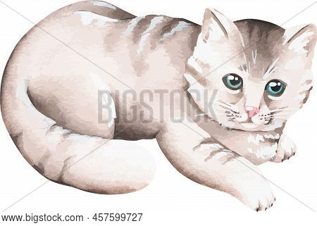 The Kitten Is Lying On Its Belly. Watercolor Vector Illustration. Isolated On A White Background. Fo