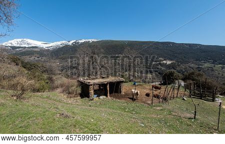 View Of The Area Of The Town Of Trevelez, In The Sierra Nevada Of Andalusia, Spain