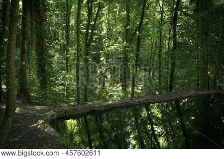The Tufa Source In Luxembourg In The Nature Park Mullerthal With Reflections Of The Trees In The Wat