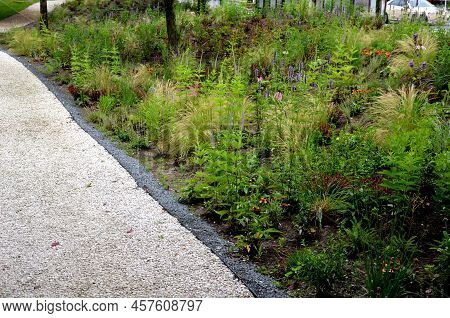 Beds Of Newly Planted Flowers Are Planted And Mulched With Bark. Bluebells And Cypresses, Paths Stre