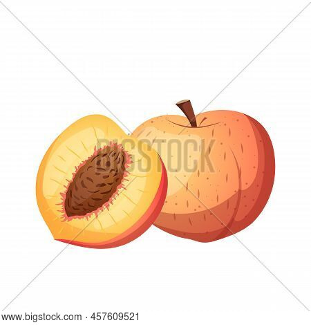 Fruit Peach Cartoon Vector. Juicy Nectarine, Fresh Slice, Yellow Orange Food, Red Laf, Cut Organic S