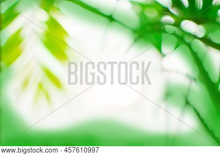 Tropical Beach Holiday Relax Time Blurry Background