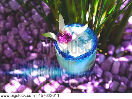 Lavander Fizz, Cocktail Based On Refreshing Gin With Saffron Foam Of Lavender Color On Background Of