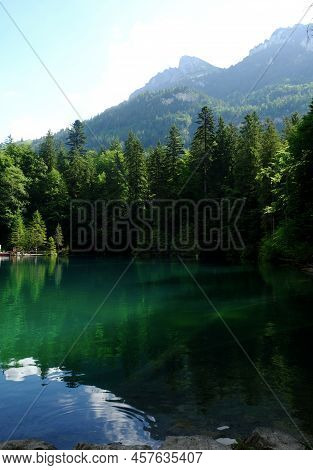 Selective Focus Picture Of Trees At Blausee Lake With Nature View And Mountain Insight. Famous Attra