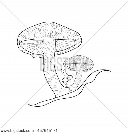 Abstract Mushrooms Line Art. A Symbol. Black White Illustration