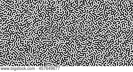 Turing Reaction Diffusion Monochrome Seamless Pattern With Chaotic Motion