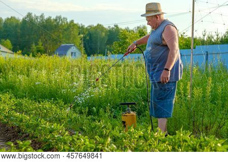 An Elderly Man In A Hat Sprays An Insecticide On The Tops Of Potatoes. The Fight Against The Colorad