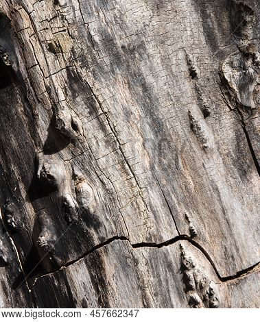 Photography Of Textured Hardwood No People Picture As A Background Death Material With Cruft Black E