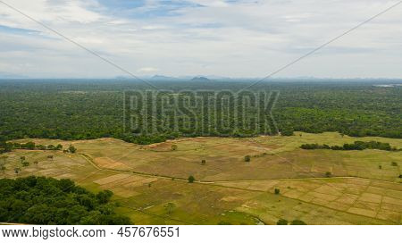 Agricultural Land Among The Rainforest And Jungle. Sri Lanka.