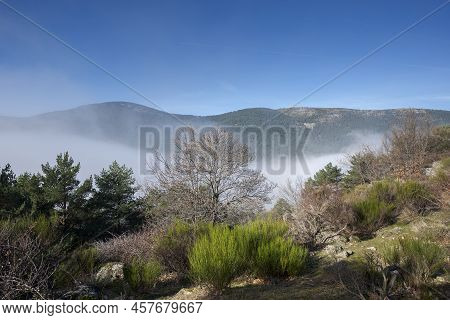 Sea Of Clouds In Fuenfria Valley, Municipality Of Cercedilla, Province Of Madrid, Spain