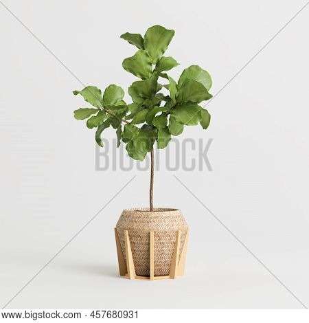 3d Illustration Of Houseplant In Potted On White Background