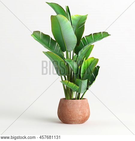 3d Illustration Of Houseplant In Terrazzo Potted On White Background