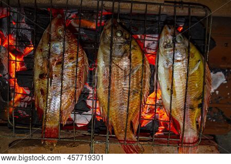 Grilled Fish Nile Tilapia On Charcoal Grill Grilled Fish Nile Tilapia On Charcoal Grill