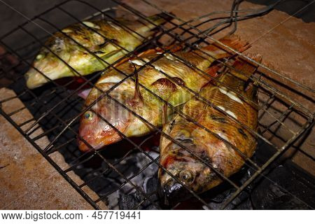 Grilled Fish Nile Tilapia On Charcoal Grill Grilled Fish Nile Tilapia On Charcoal Grill