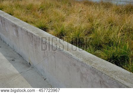 Stipa Capilata In Flowerbed Mulch Gravel With Concrete Raised Edge Of Cubes 6cm In Rows Pavement Sur