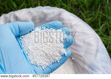 Farmer`s Hand In Blue Glove Holds White Fertilizer For Plants. Big Bag With Chemical Npk Fertilizer 
