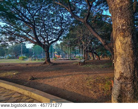 Stock Photo Of Popular Rankala Lake Garden, Jogging Tracks Surrounded By Big Green Trees And Plants,