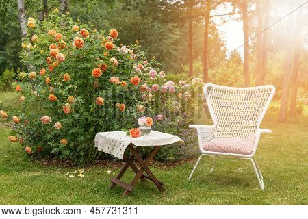 Romantic Sitting Area In The Rose Garden, Wooden Table And Chairs Near The Large Flowering Bushes Of