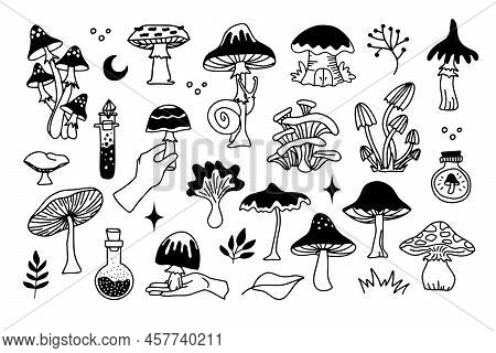 Mystical Mushrooms Isolated Outline Clipart Set, Magic Line Celestial Mushroom, Moon Stars, Witchy E