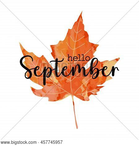 Beautiful Calligraphy Lettering Text - Hello September. Bright Orange Red Watercolor Artistic Maple 