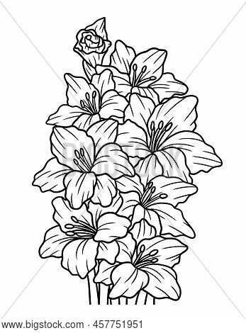 A Cute And Beautiful Coloring Page Of A Gladioli Flower. Provides Hours Of Coloring Fun For Adults.