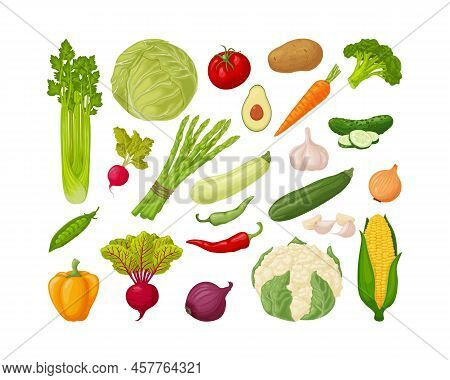 Vegetables Set. A Large Collection Of Vegetables, Such As Celery, Cabbage, Tomatoes, Potatoes,carrot