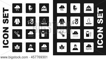 Set Winter Hat, Tractor, Raincoat, Storm, Tree, Little Chick, Jar Of Honey And Dipper Stick And Mete