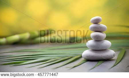 Close Up Photo Of Circle Small Stones With Green Long Leafs And Blur Background. This Picture Is The