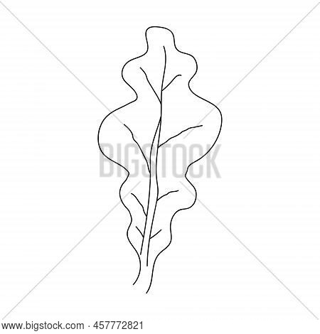 Oak Leaf Linear Icon. Thin Line Illustration. Contour Vector Outline Drawing.