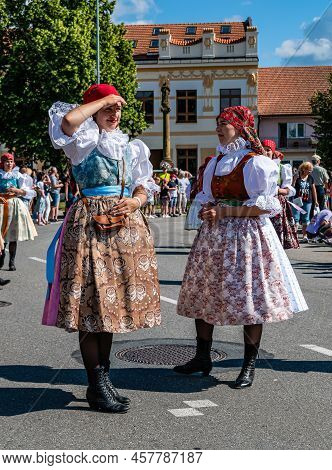 International Folklore Festival Straznice 77Th Year18.jpg