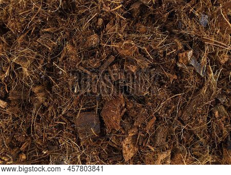 Coconut Substrate Close Up. Coconut Fiber Background. Coconut Fibers For Planting Plants With Soil.