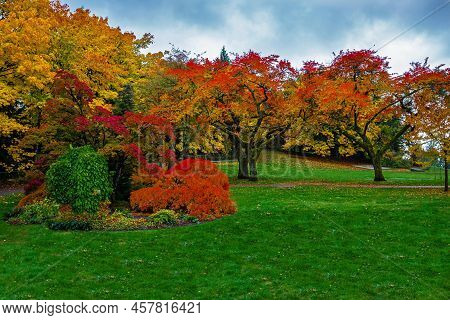 Fragment Of Burnaby Mounyain Park, Autumn Landscape Foot Path Under The Overhanging Branches Of A Tr