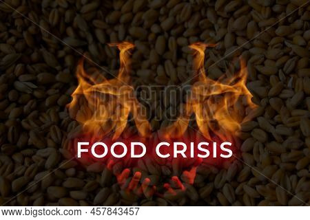 Food Crisis. Global And European Grain And Wheat Crisis, Ukraine. Exporters Of Grain. Devil With Fla