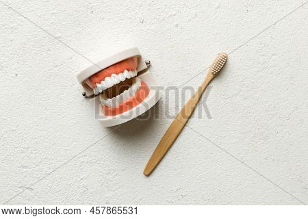 Closeup Model Of A Human Jaw With White Teeth And Toothbrush. Dentistry Conceptual Photo. Prosthetic
