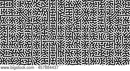 Turing Reaction Diffusion Monochrome Seamless Pattern Or Ethnic Ornament
