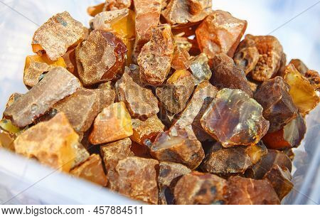 Amber, Mineraloid, Petrified Fossil Tree Resin, Hardened Resin Of The Oldest Coniferous Trees Of The