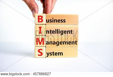 Bims, Business Intelligent Management System Symbol. Concept Words Bims, Business Intelligent Manage