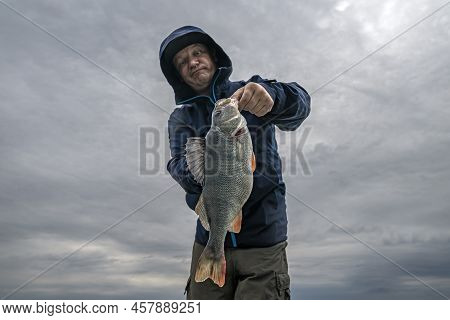 Perch Fishing. Fisherman Look At Big Perch Fish Skeptical