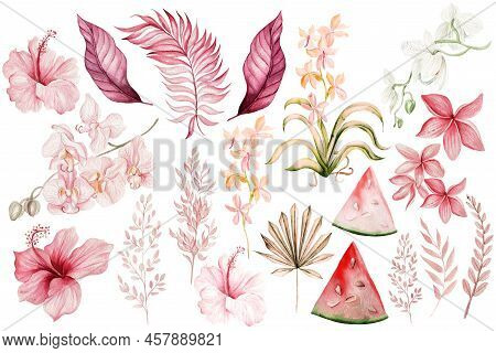 Watercolor Wedding Pink Tropical Set With Exotic Flowers Hibicsus, Orchid, Watermalon And Leaves.