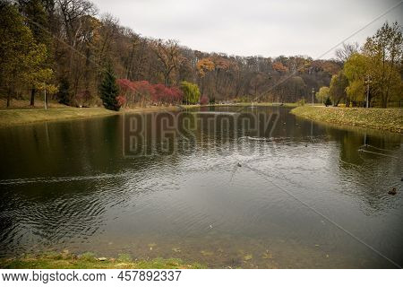 Wild Pond In The Autumn Forest. Autumn Forest Pond. Forest Pond
